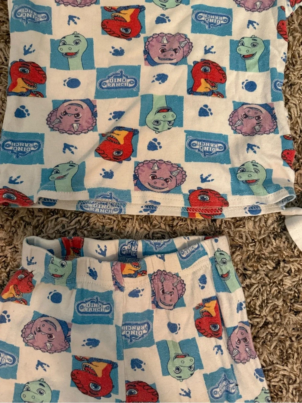 4T Dino Ranch Unisex Pajama Set